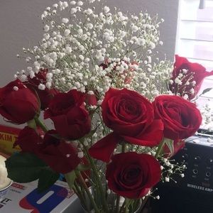 Meet your Posher, Vũ